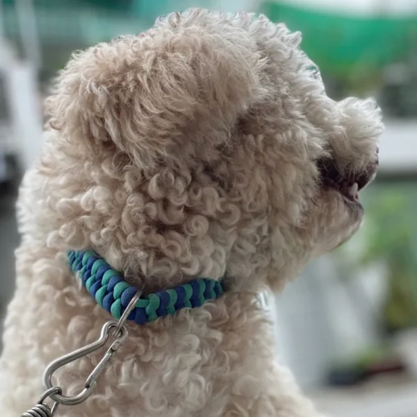 Vòng Cổ Cho Thú Cưng Họa Tiết Đuôi Cá